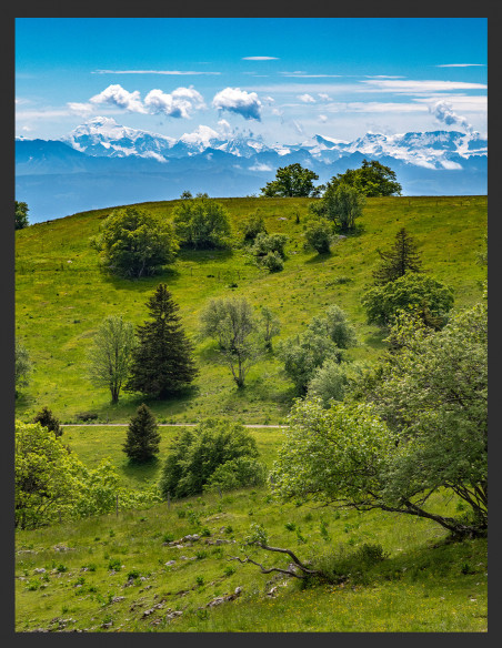 | In the distance, the Alps | PHOTOGRAPHY 