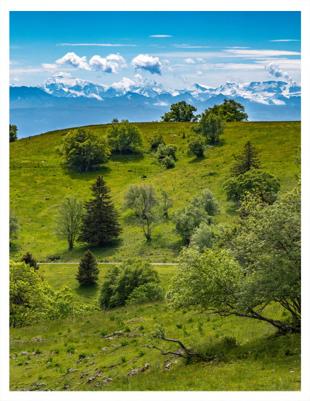 | In the distance, the Alps | PHOTOGRAPHY 