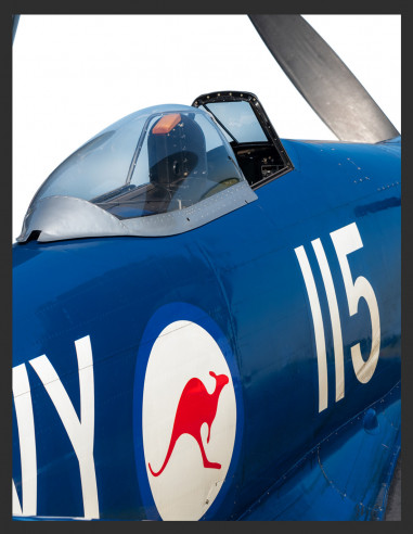 | Hawker Sea Fury | Avion 