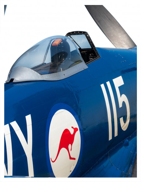 | Hawker Sea Fury | AVION 